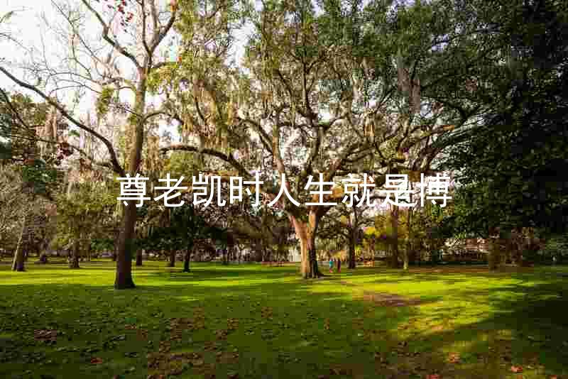 尊老凯时人生就是博