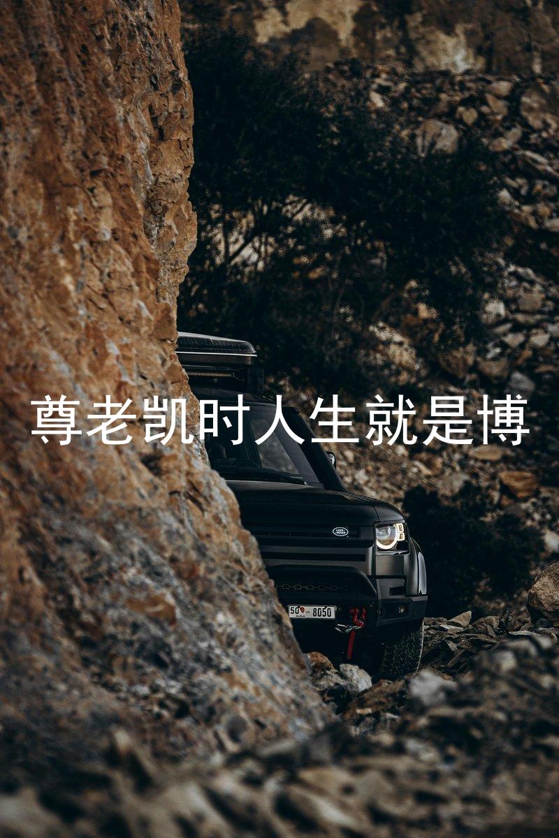 尊老凯时人生就是博